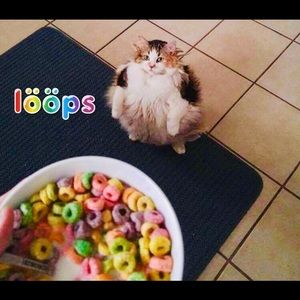 Meet your Posher, Mason